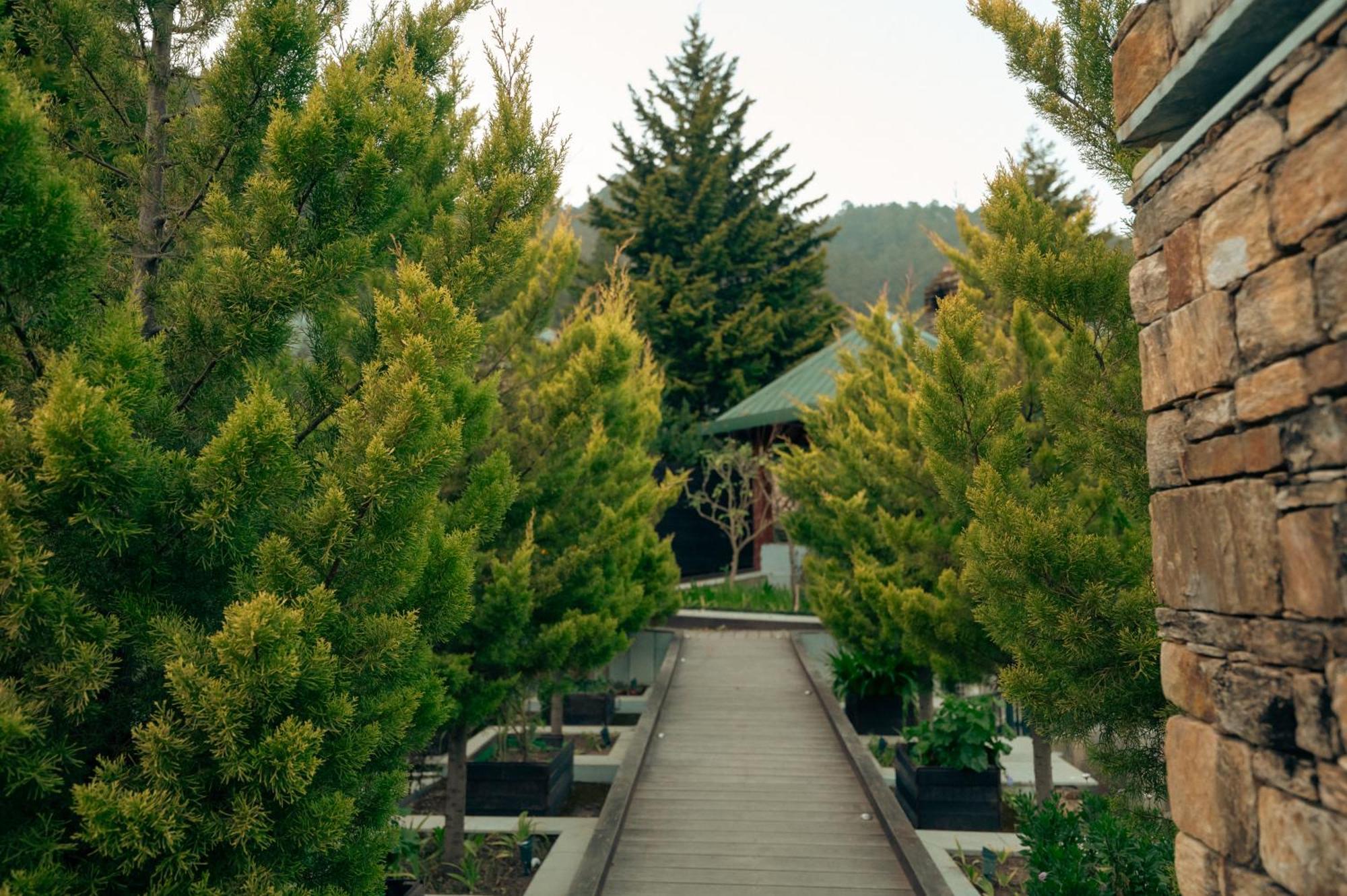 Brij Atmanya Bhowali, Nainital, A Luxury Mountain Escape Exterior foto